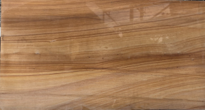 Wood Land
