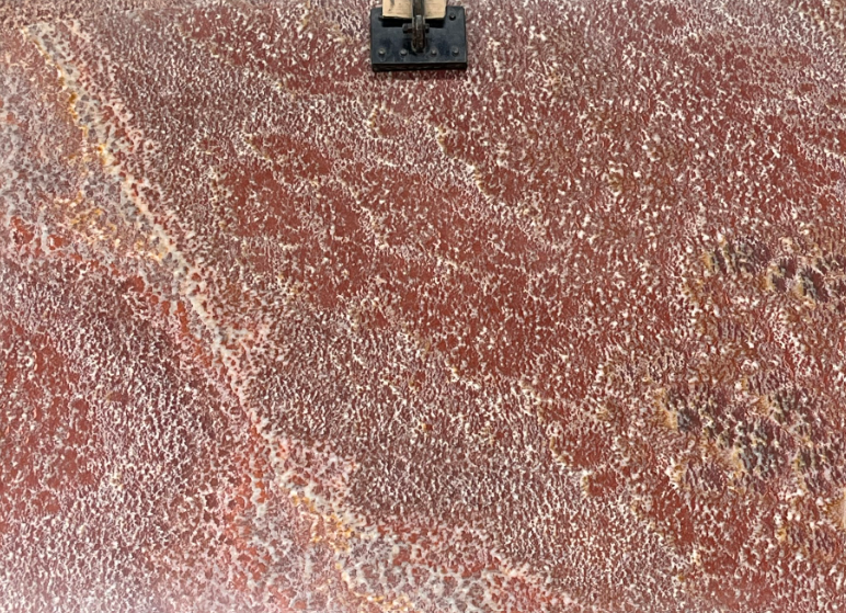 Marble Red Vảy Rồng