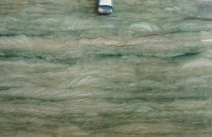 Gaya Green