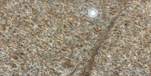 Tiger Siken
